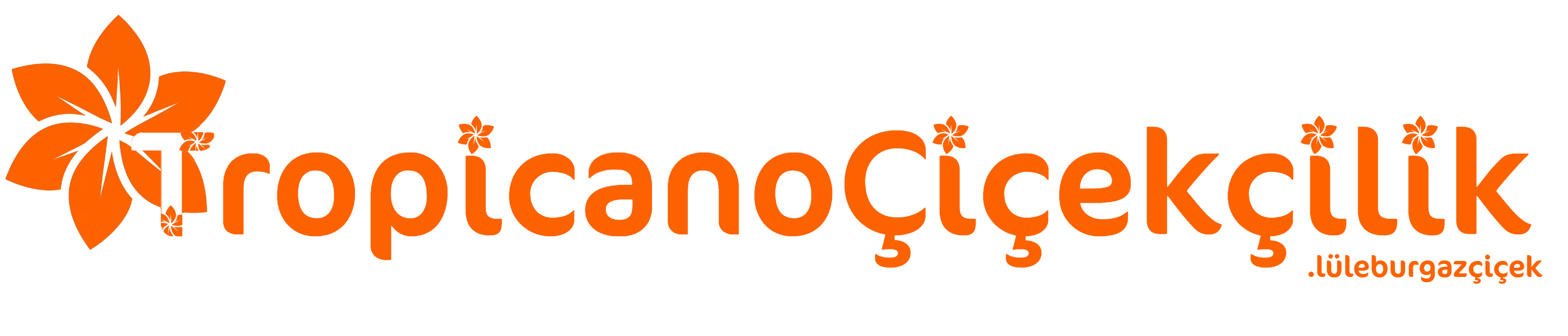 Tropicano Çiçekçilik |  Lüleburgaz Aynı Gün Çiçek Gönder